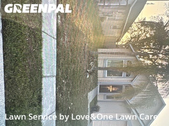 Lawn Mow nearby Orlando, FL, 