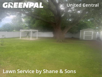 Yard Mowing nearby St. Petersburg, FL, 