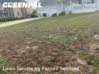 Lawn Care nearby Spring Lake, NC, 