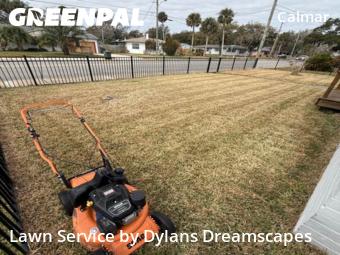 Lawn mowed in Daytona Beach, 32114