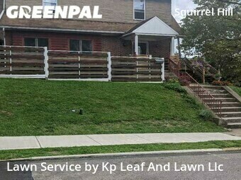 Grass Cut nearby Pittsburgh, PA, 