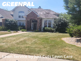 Lawn Cutting nearby O'fallon, IL, 