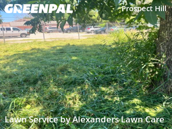 Lawn Care Service nearby San Antonio, TX, 