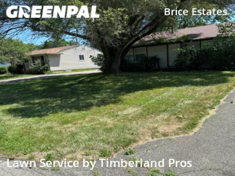 Yard Cutting nearby Reynoldsburg, OH, 