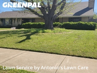 Grass Cutting nearby Richardson, TX, 