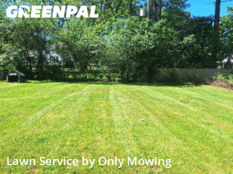Lawn Cutting nearby Schenectady, NY, 