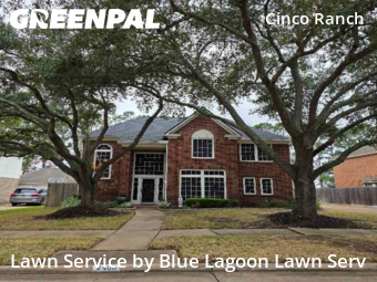 Grass Cuttingin Katy,77494,Yard Cutting by Blue Lagoon Lawn Serv, work completed in Feb , 2026