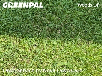 Yard Cutting nearby Austin, TX, 
