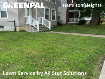 Lawn Mowing Service nearby St. Louis, IL, 