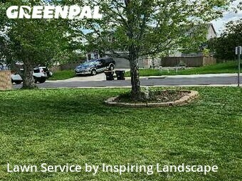 Yard Cutting nearby Castle Rock, CO, 