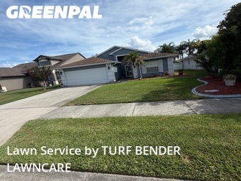 Lawn Cut nearby Oldsmar, FL, 