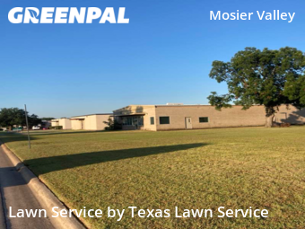 Lawn Cutting nearby Euless, TX, 