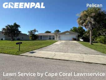 Lawn Mow nearby Cape Coral, FL, 