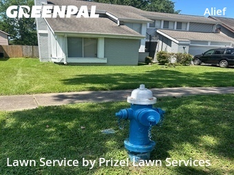 Lawn Maintenancein Houston,77099,Lawn Mowing by Prizel Lawn Services, work completed in Jun , 2026