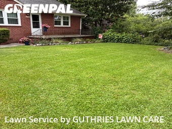 Grass Cut nearby Macon, GA, 