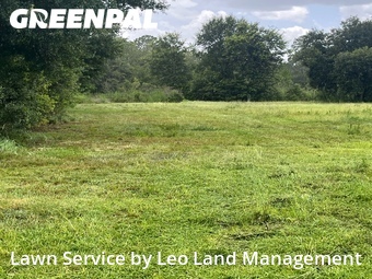 Affordable Landscaping In Lakeland,33809,Landscaping Renovation by Leo Land Management , work completed in Jul , 2026