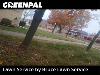 Lawn Maintenance nearby Norridge, IL, 