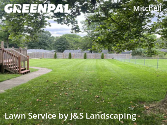 Yard Cutting nearby Ann Arbor, MI, 