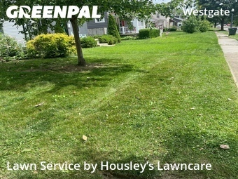 Yard Cutting nearby Columbus, OH, 