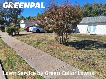 Landscaping Renovation In Grand Prairie,75052,Landscapers by Green Collar Lawns, work completed in Dec , 2025
