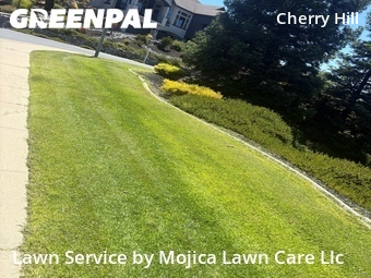 Lawn mowing work completed in Rocklin, CA