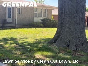 Lawn Cut nearby Blue Springs, MO, 