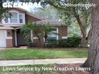 Grass Cut nearby Valrico, FL, 