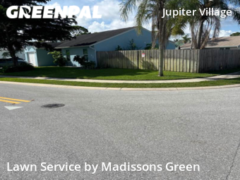 Grass Cut nearby Jupiter, FL, 