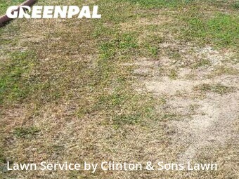Lawn Service nearby San Antonio, TX, 