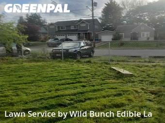 Lawn Mowing Service nearby Tacoma, WA, 