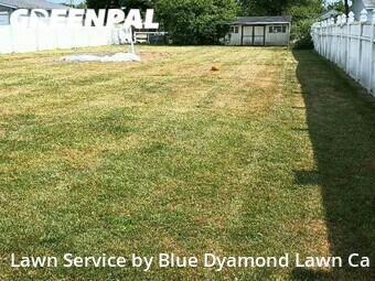 Lawn Service nearby Parkville, MD, 
