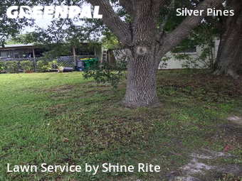 Lawn Mow nearby Rockledge, FL, 