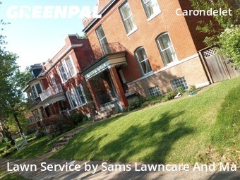 Grass Cut nearby St. Louis, IL, 