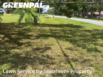 Lawn Cut nearby Niceville, FL, 