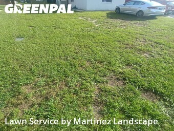 Lawn mowed in Lady Lake, 32159