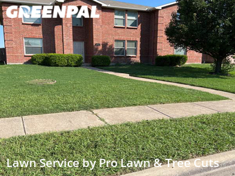 Lawn Cut nearby Lancaster, TX, 