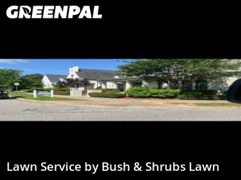 Grass Cutin Franklin,37064,Grass Cut by Bush & Shrubs Lawn, work completed in Jun , 2026