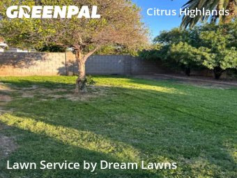 Lawn Mowing nearby Mesa, AZ, 