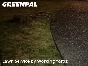 Lawn Cutting nearby Renton, WA, 