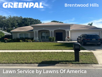 Lawn Cutting nearby Valrico, FL, 