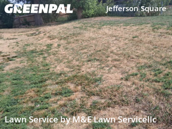 Grass Cut nearby Northglenn, CO, 