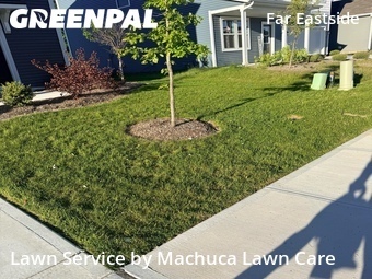 Lawn Cut nearby Indianapolis, IN, 