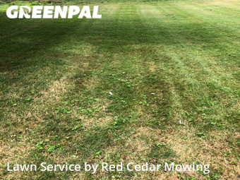 Yard Cutting nearby Lansing, MI, 