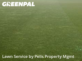 Yard Mowing nearby Ann Arbor, MI, 