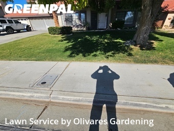 Lawn mowing work completed in Palmdale, CA