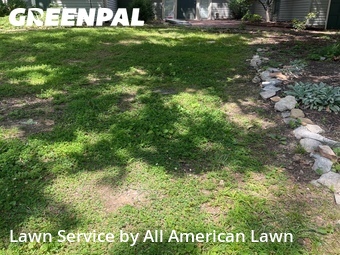 Lawn Mowing nearby Webster Groves, MO, 