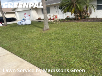 Yard Grooming in Royal Palm Beach, 33411, Grass Services by Madissons Green, work completed in Dec , 2025