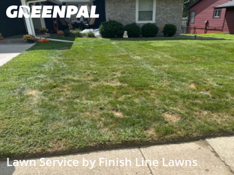 Grass Cutting nearby Davenport, IA, 