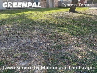 Yard Mowing nearby Houston, TX, 