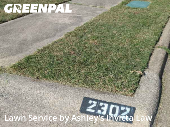 Residential Landscaping In Killeen,76549,Landscaping Renovation by Ashley's Invicta Law, work completed in Nov , 2025